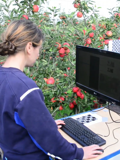 Robotics Engineering