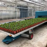 Beladen Van Potplanten