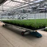 Aanvoer Van Potplanten