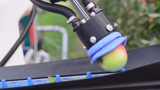 Innovatie